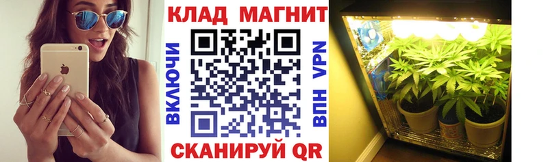 Где купить наркотики Слободской Альфа ПВП  Кодеин  ГАШ  Бутират  Каннабис  Меф мяу мяу  Кокаин 